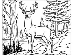 Deer Coloring Book Pages A Creative Exploration